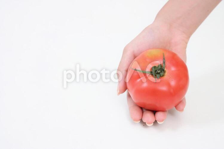 蕃茄, 食品, 蔬菜, 蕃茄, JPG