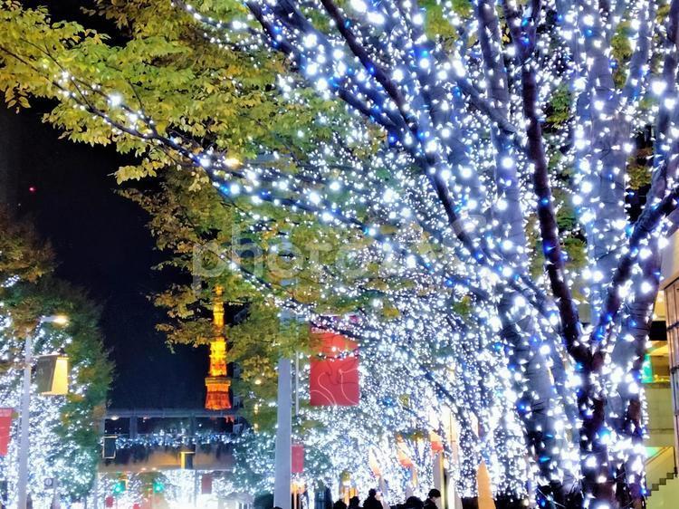 冬季六本木和櫸樹坂的聖誕燈飾, 聖誕節, 照明, 白色聖誕, JPG