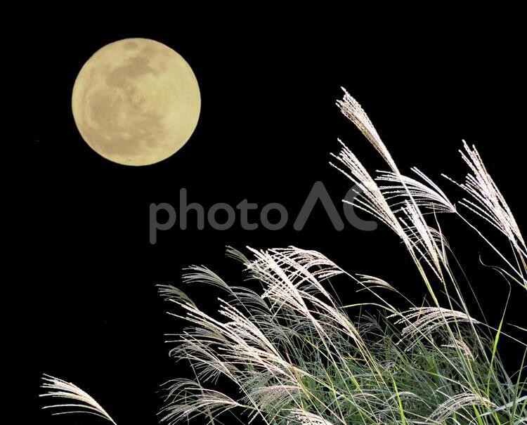 滿月和Susumi Full Moon＆Susuki, 月, jugoya, 望月, JPG