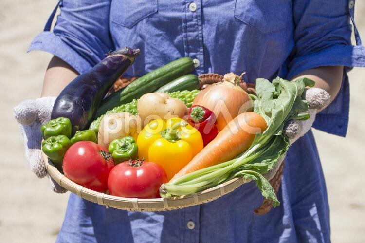 重的蔬菜, 蔬菜, 綠色和黃色蔬菜, 蔬菜拼盤, JPG